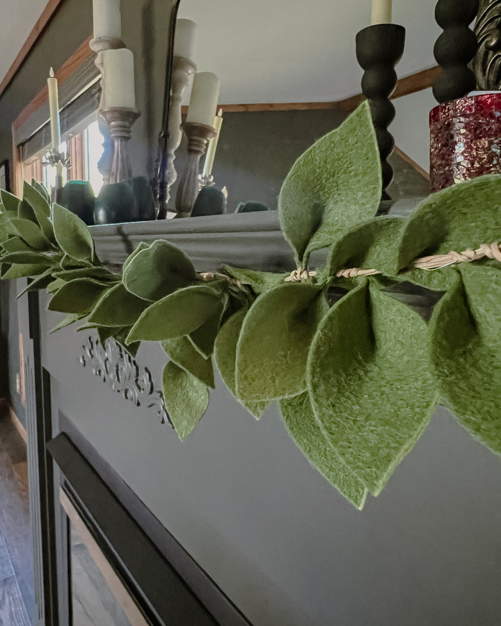 a close up of a green plant on a mantle