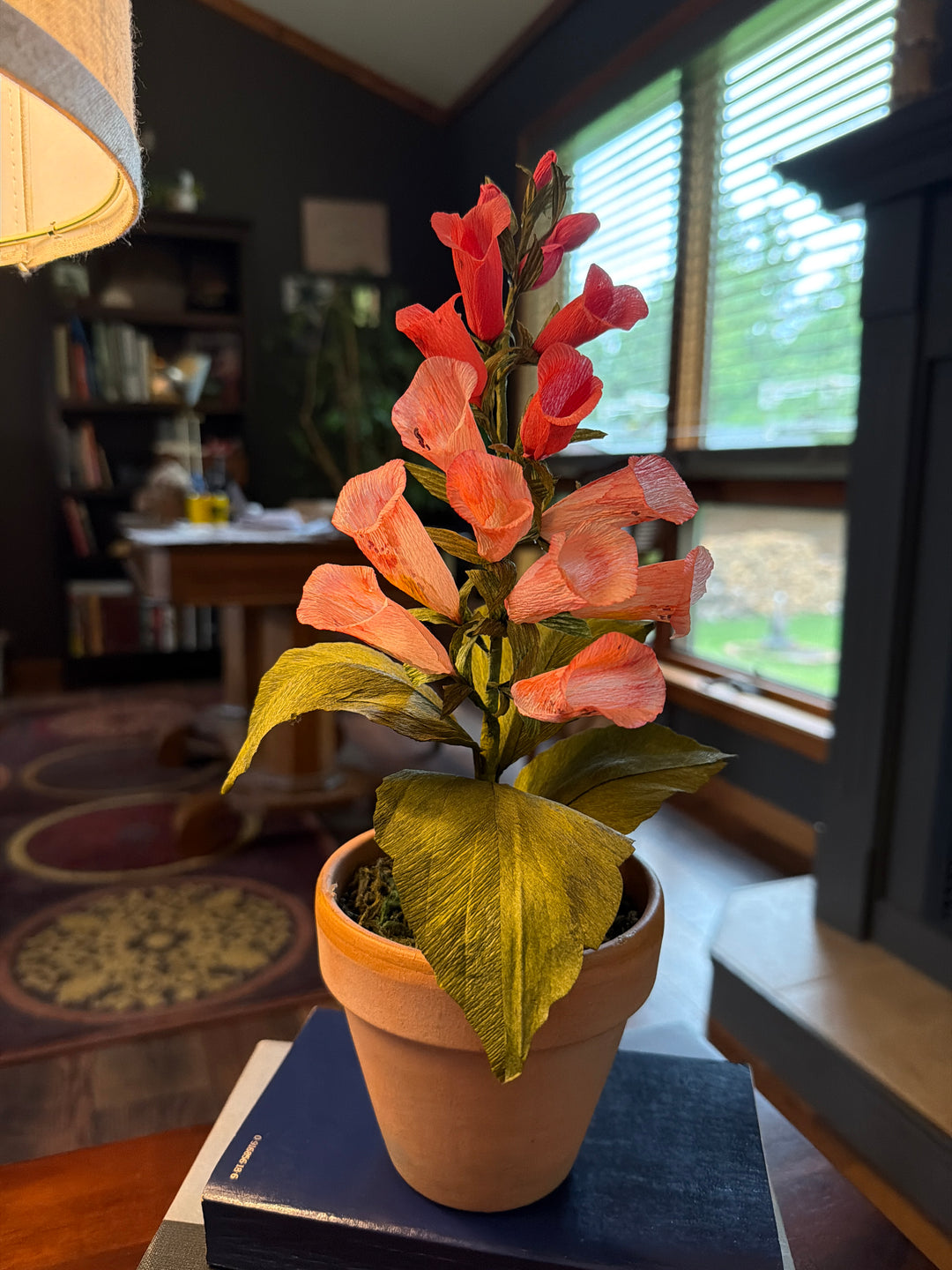 Potted Foxglove Stem