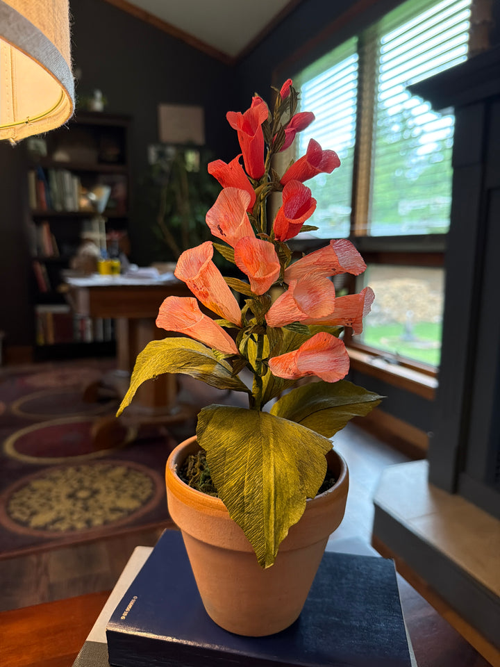 Potted Foxglove Stem