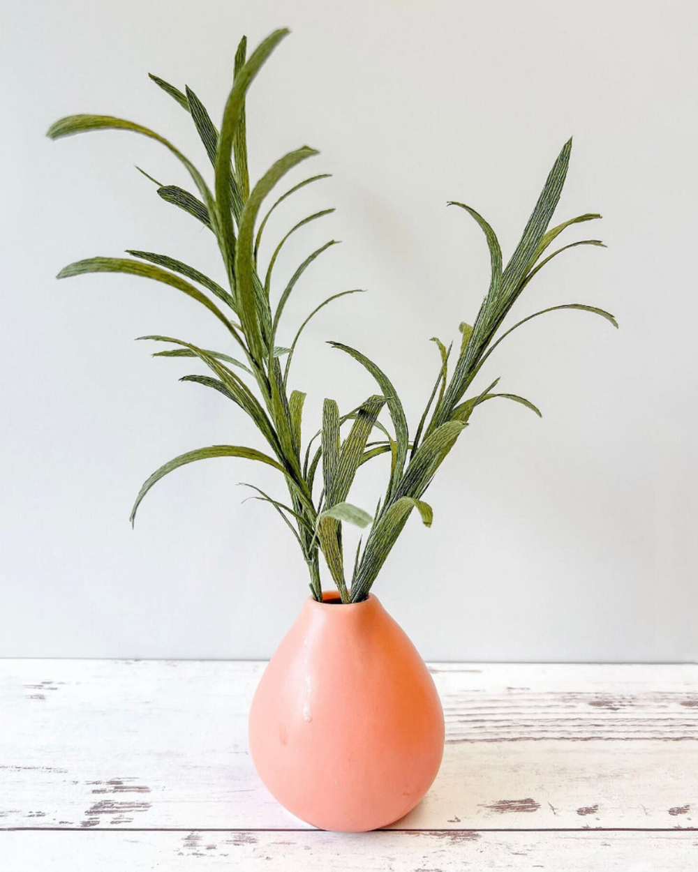 a plant in a vase on a table