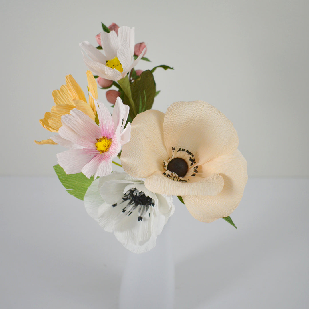 Anemone Stem (Paper)