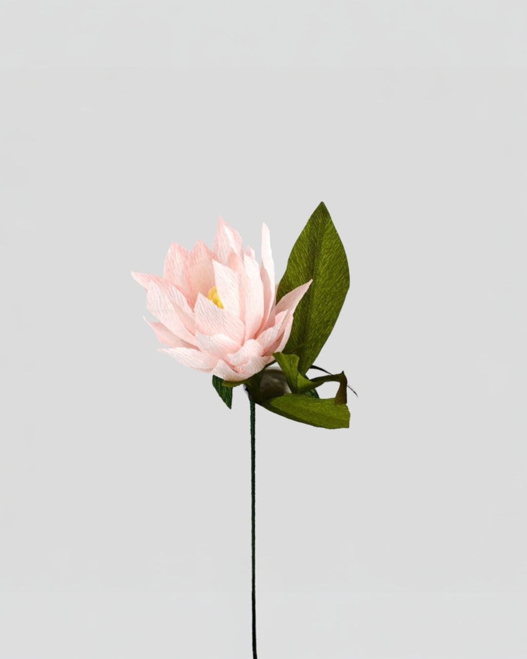 Protea Stem (Paper)