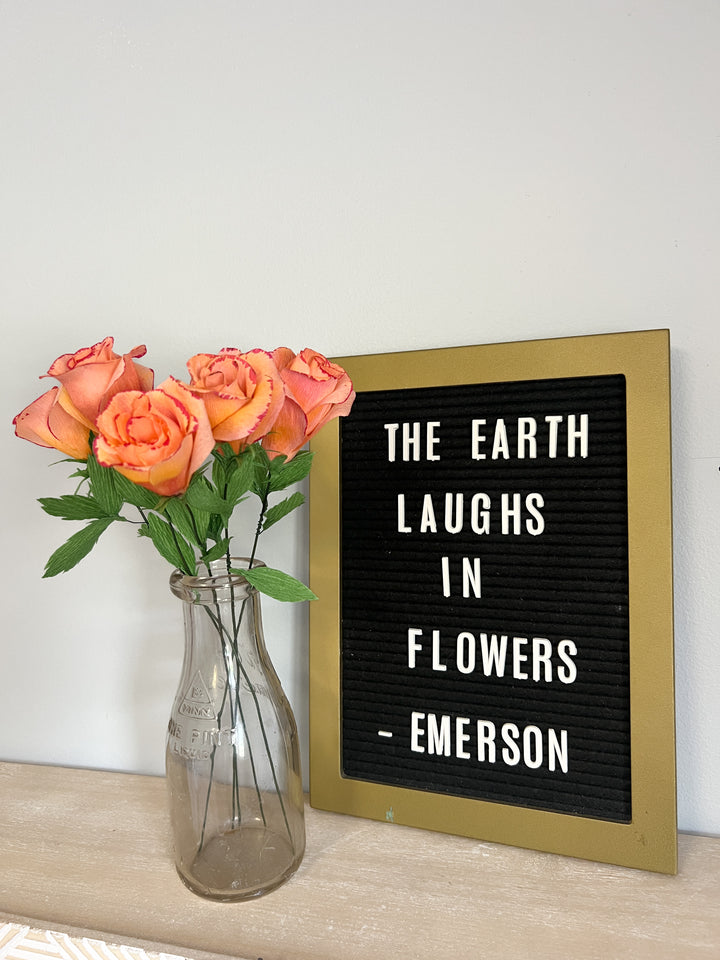 Pink Lemonade Roses 5 Pack