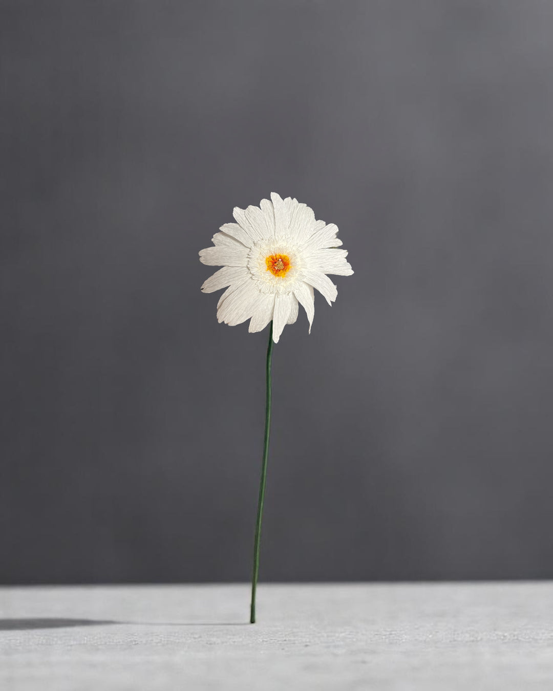 Gerber Daisy Stem (Paper)
