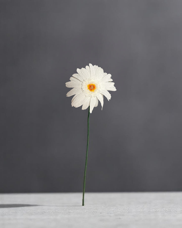 Gerber Daisy Stem (Paper)
