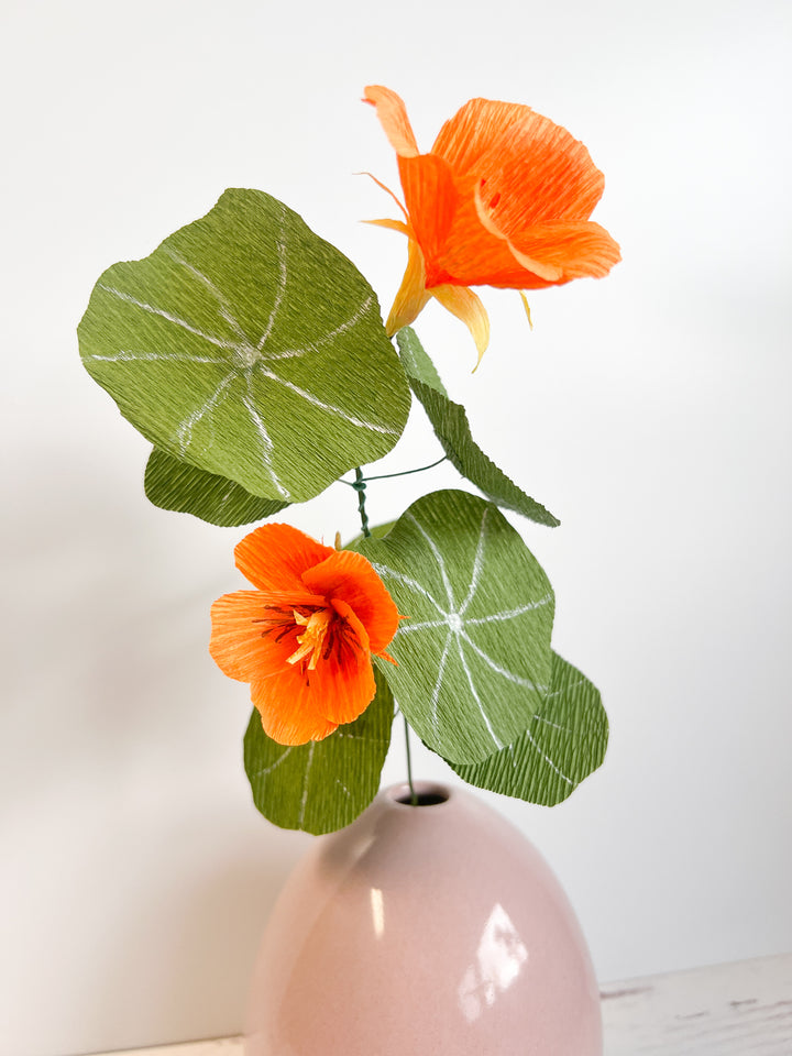 Nasturtium Sprig (Paper)