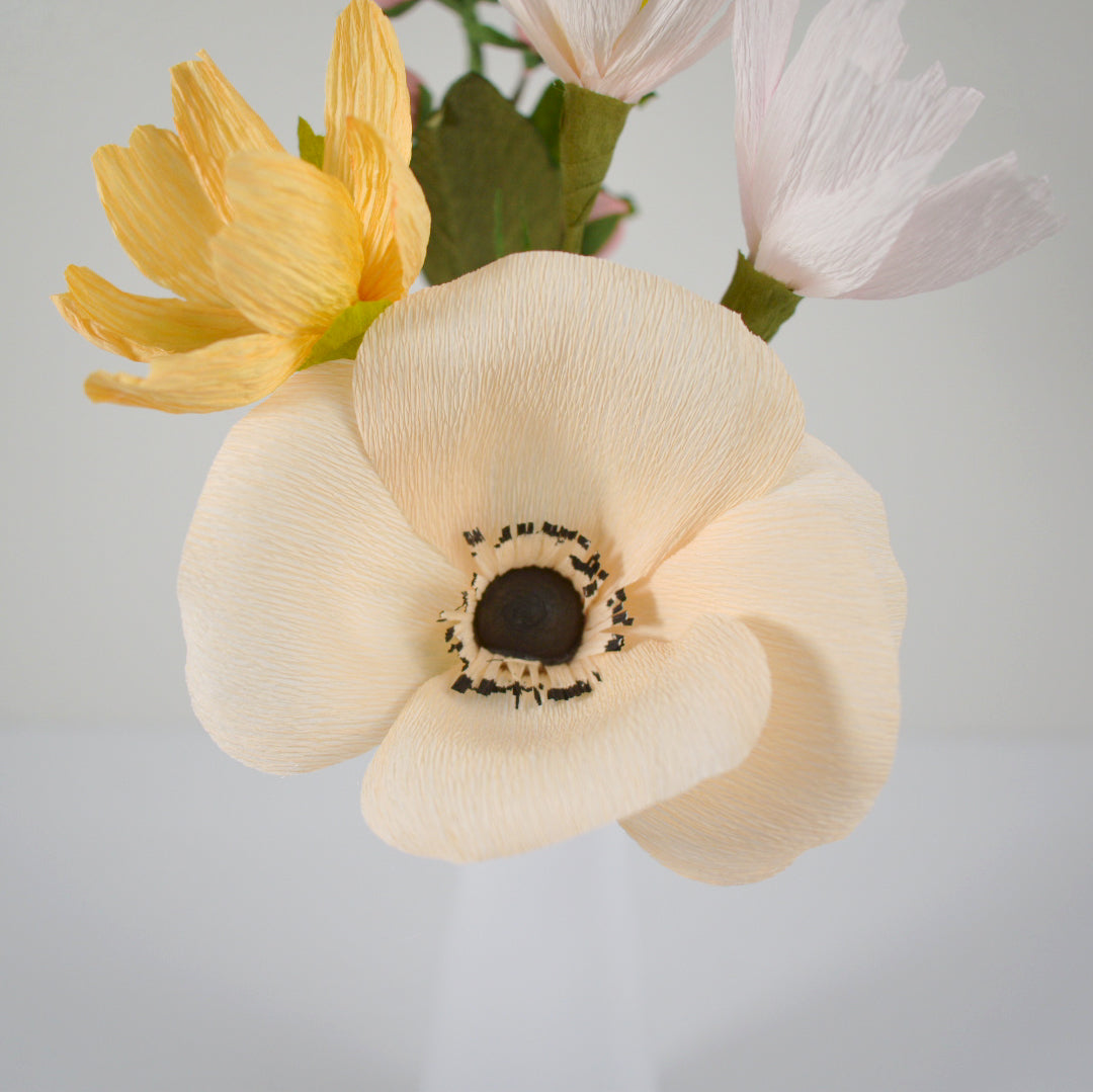 Anemone Stem (Paper)