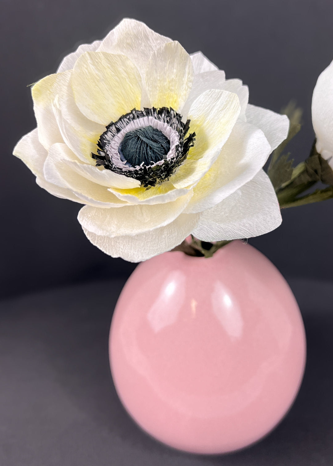 Anemone Stem (Paper)