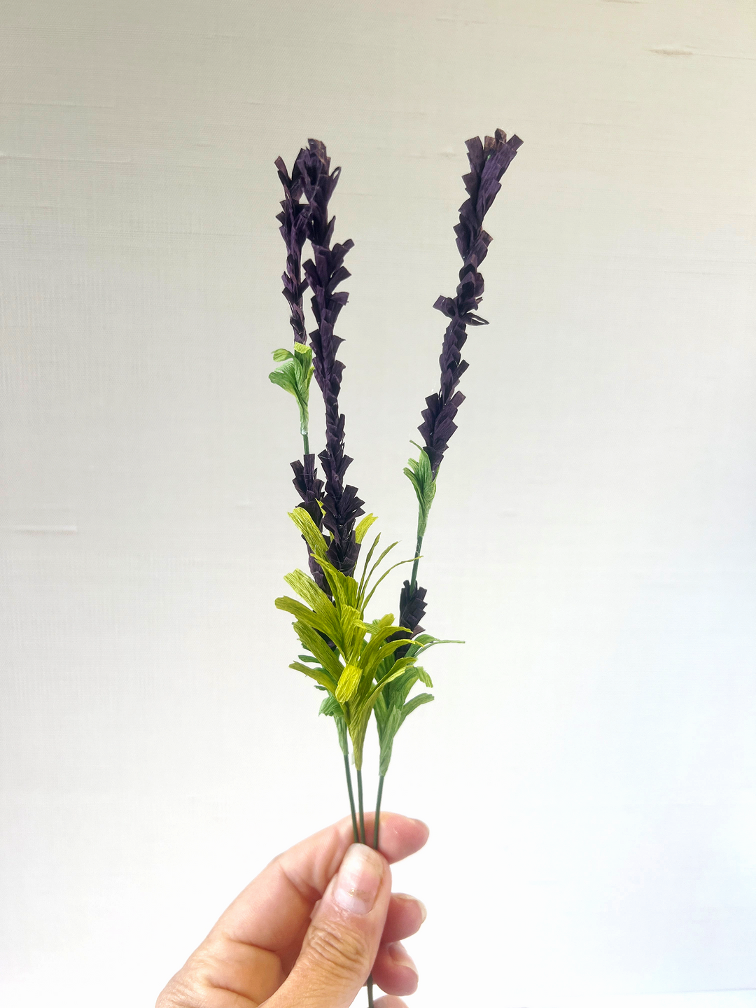 a hand holding a plant with purple flowers