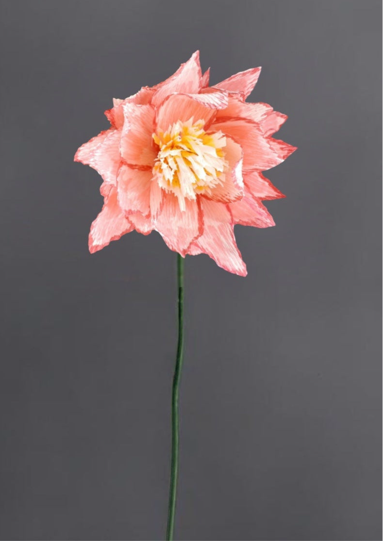 Protea Stem (Paper)