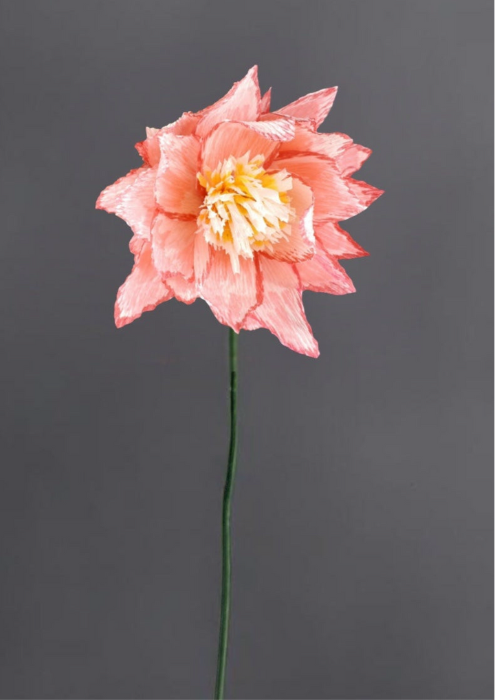 Protea Stem (Paper)