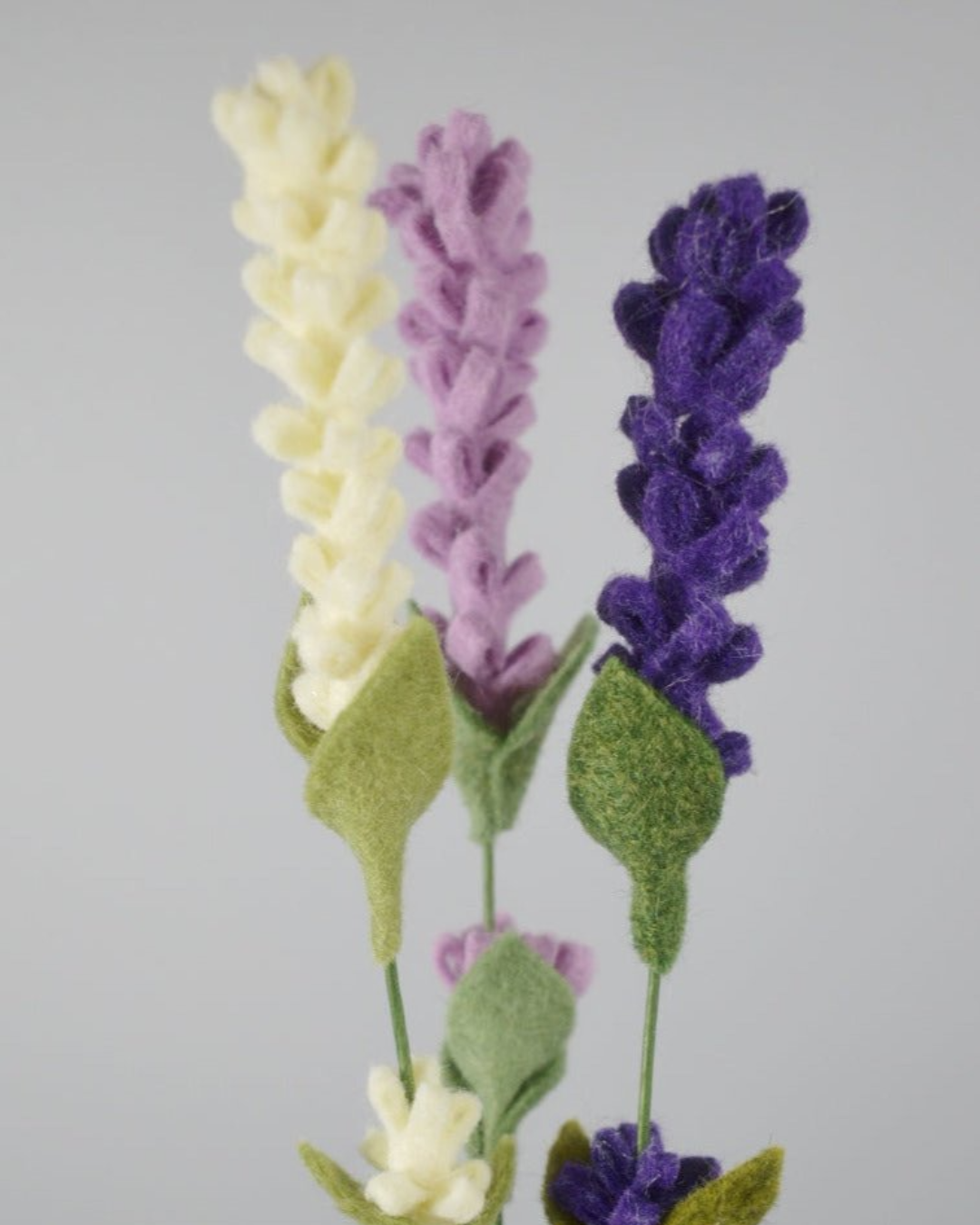 three different colored flowers in a vase