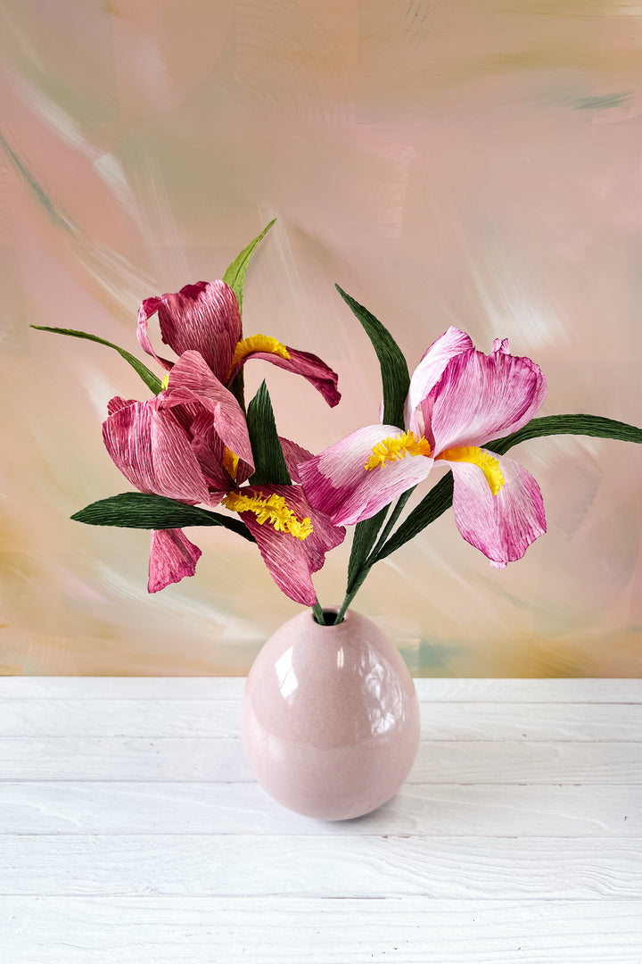 Blushing Iris | Handcrafted Paper Iris Stem