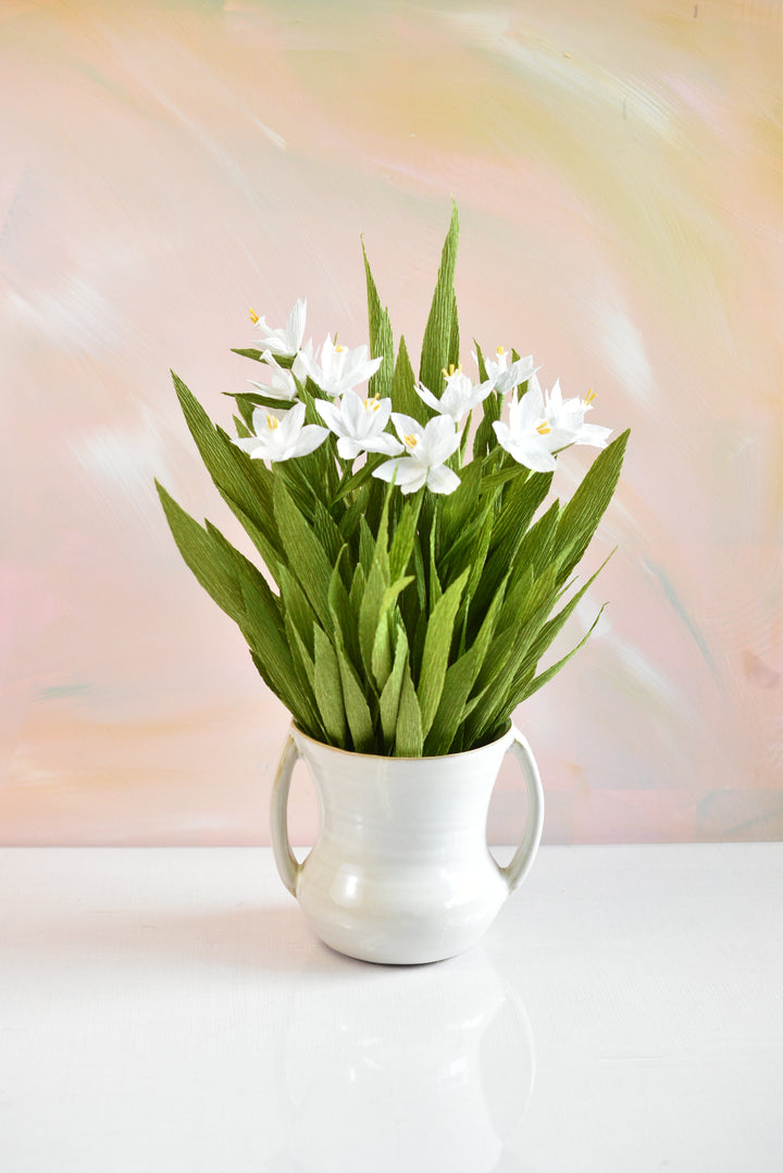 Potted Paperwhites in White Ceramic Pot