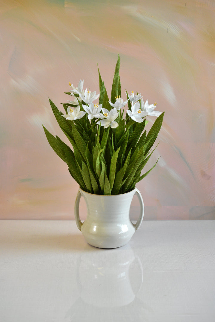 Potted Paperwhites in White Ceramic Pot