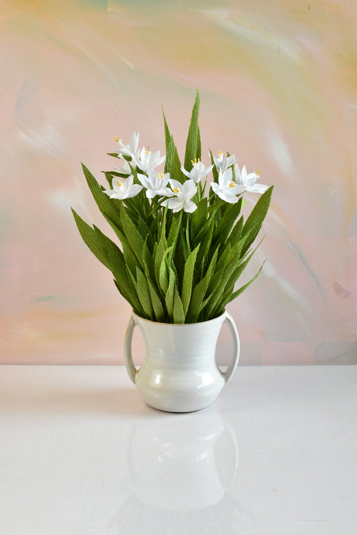 Potted Paperwhites in White Ceramic Pot