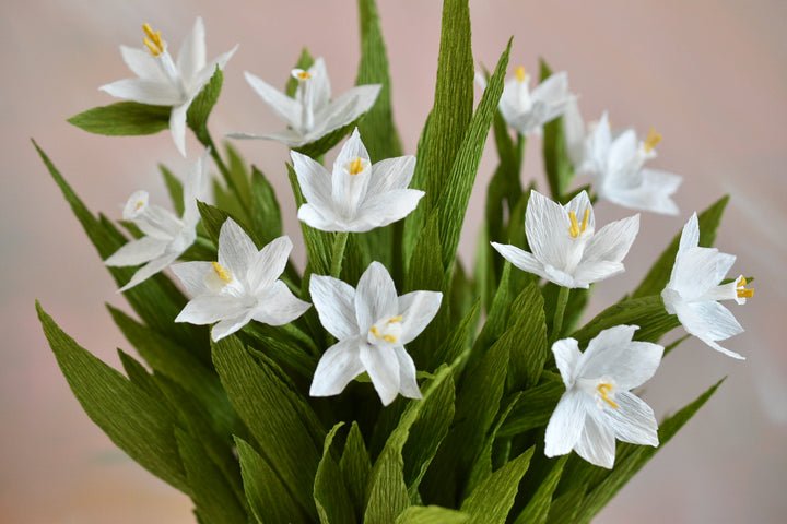 Potted Paperwhites in White Ceramic Pot