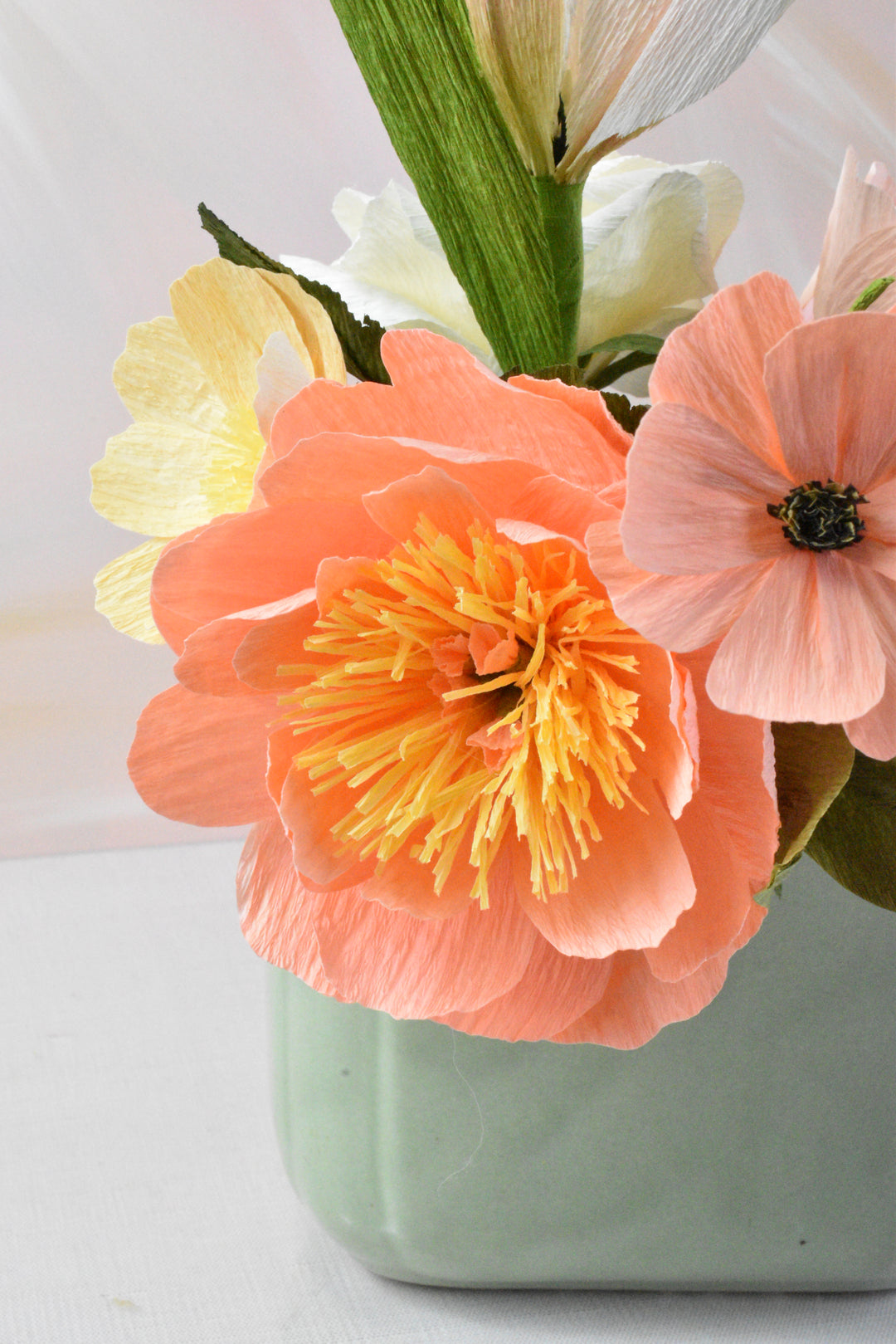 Apricot Meadow