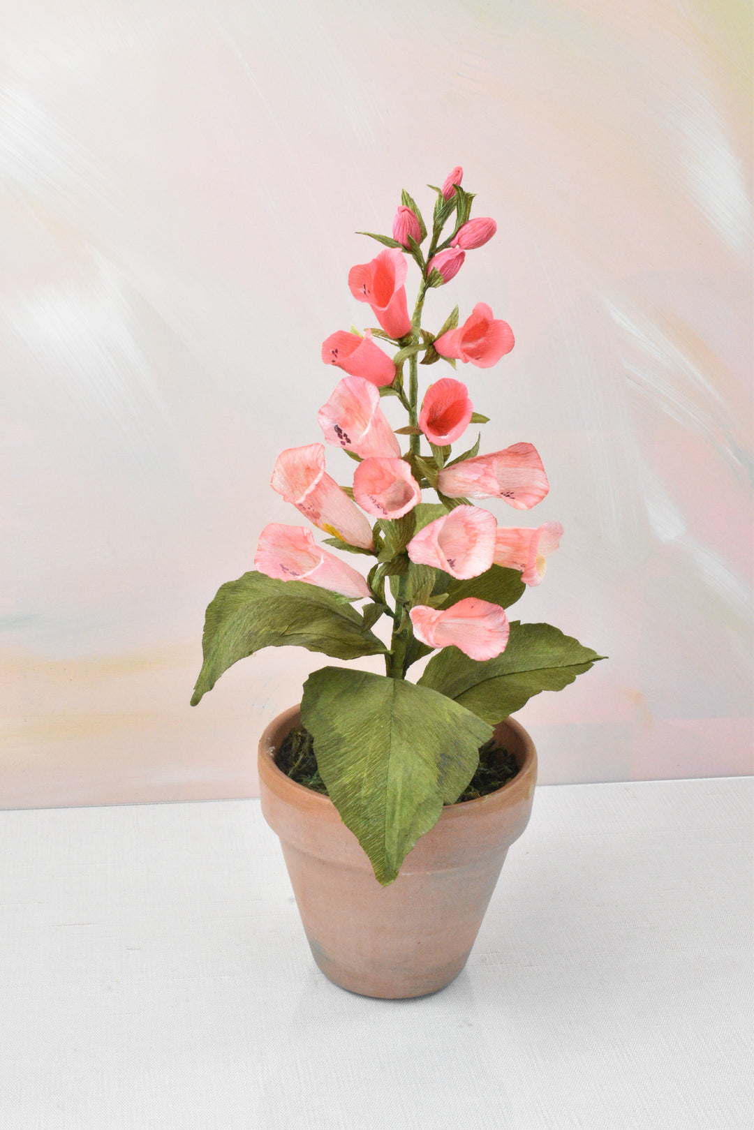 Blushing Foxglove