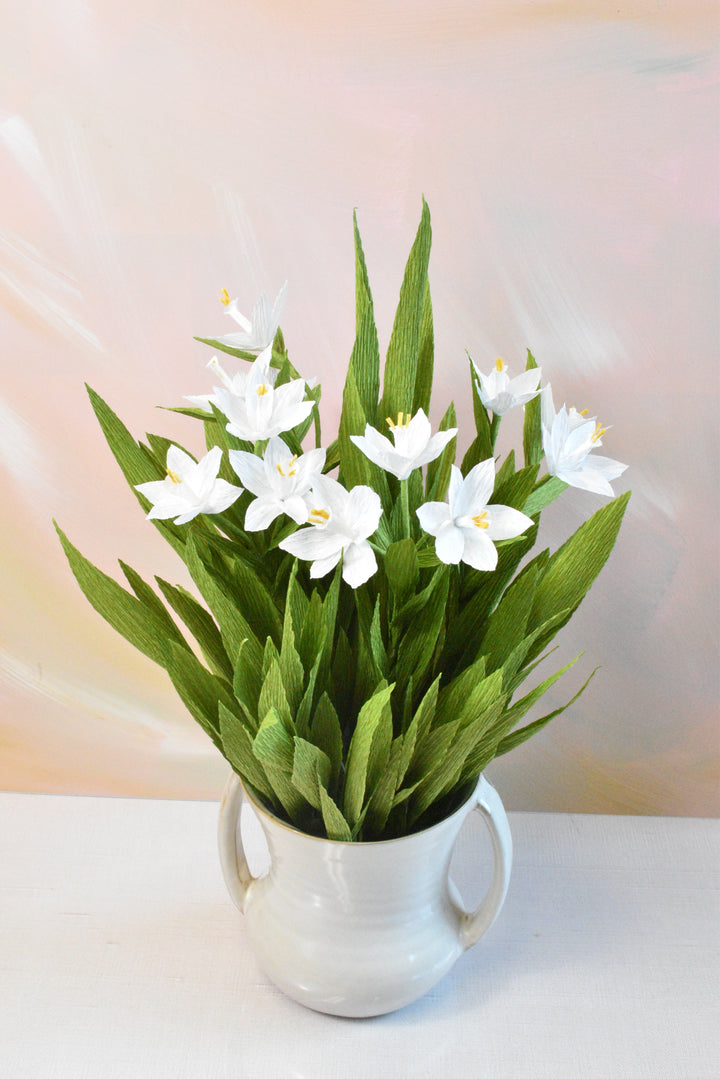 Potted Paperwhites in White Ceramic Pot