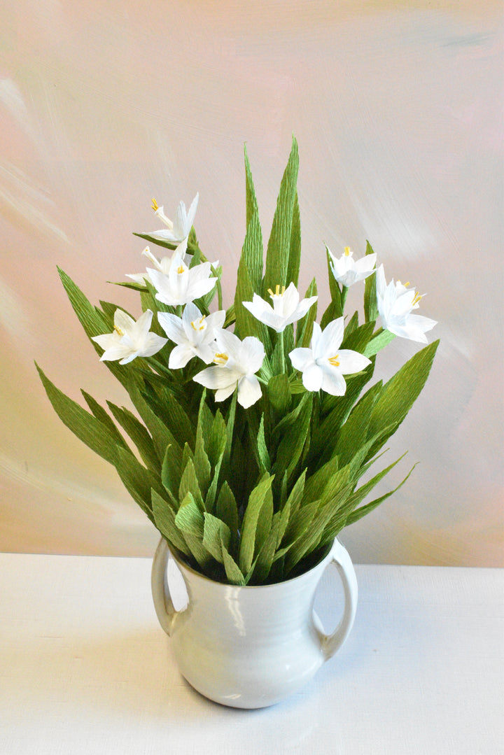Potted Paperwhites in White Ceramic Pot