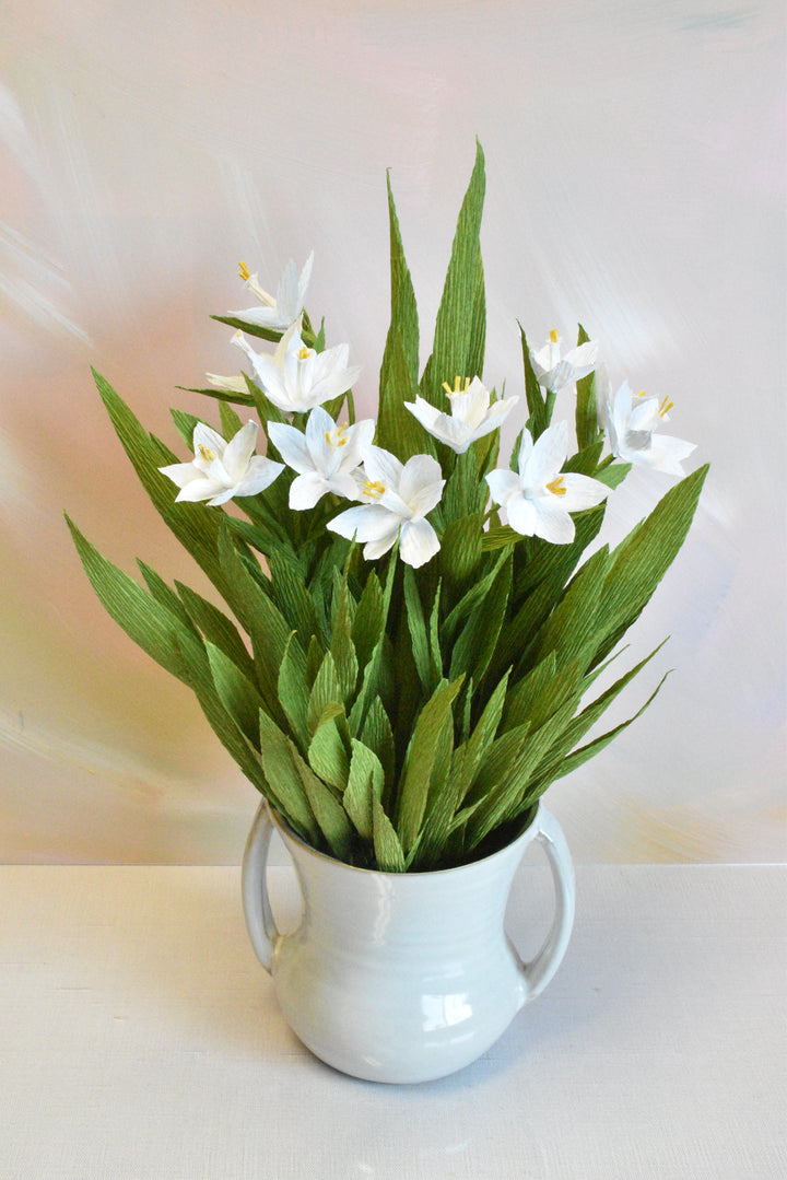 Potted Paperwhites in White Ceramic Pot