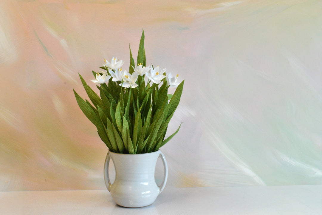 Potted Paperwhites in White Ceramic Pot