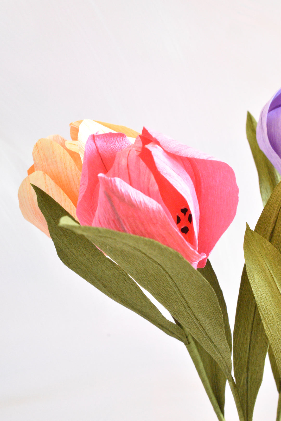 Paper Tulip Stem