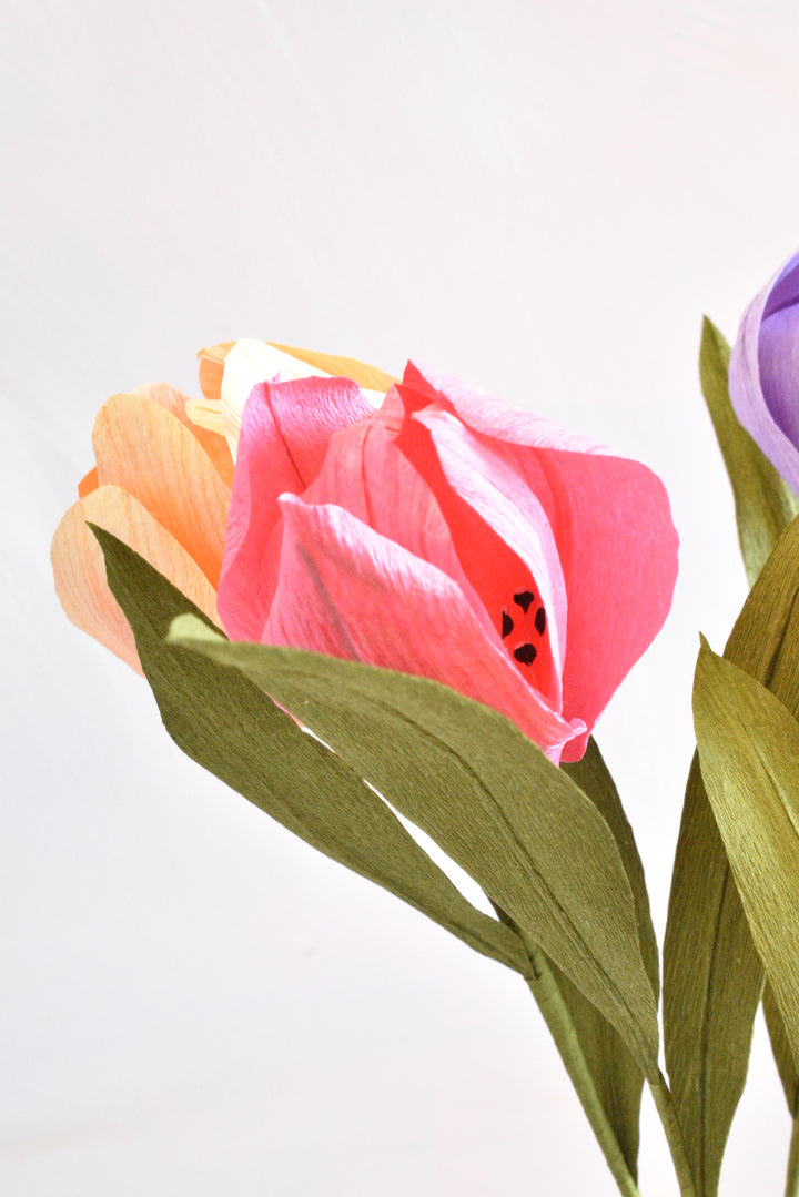 Paper Tulip Stem