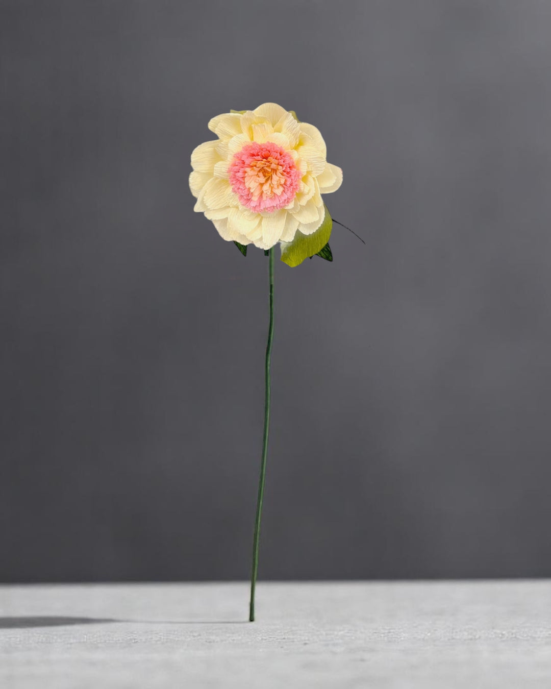 Gerber Daisy Stem (Paper)