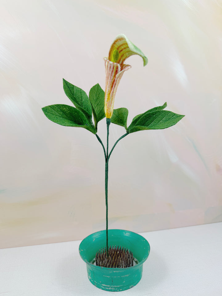 Felt Jack In The Pulpit