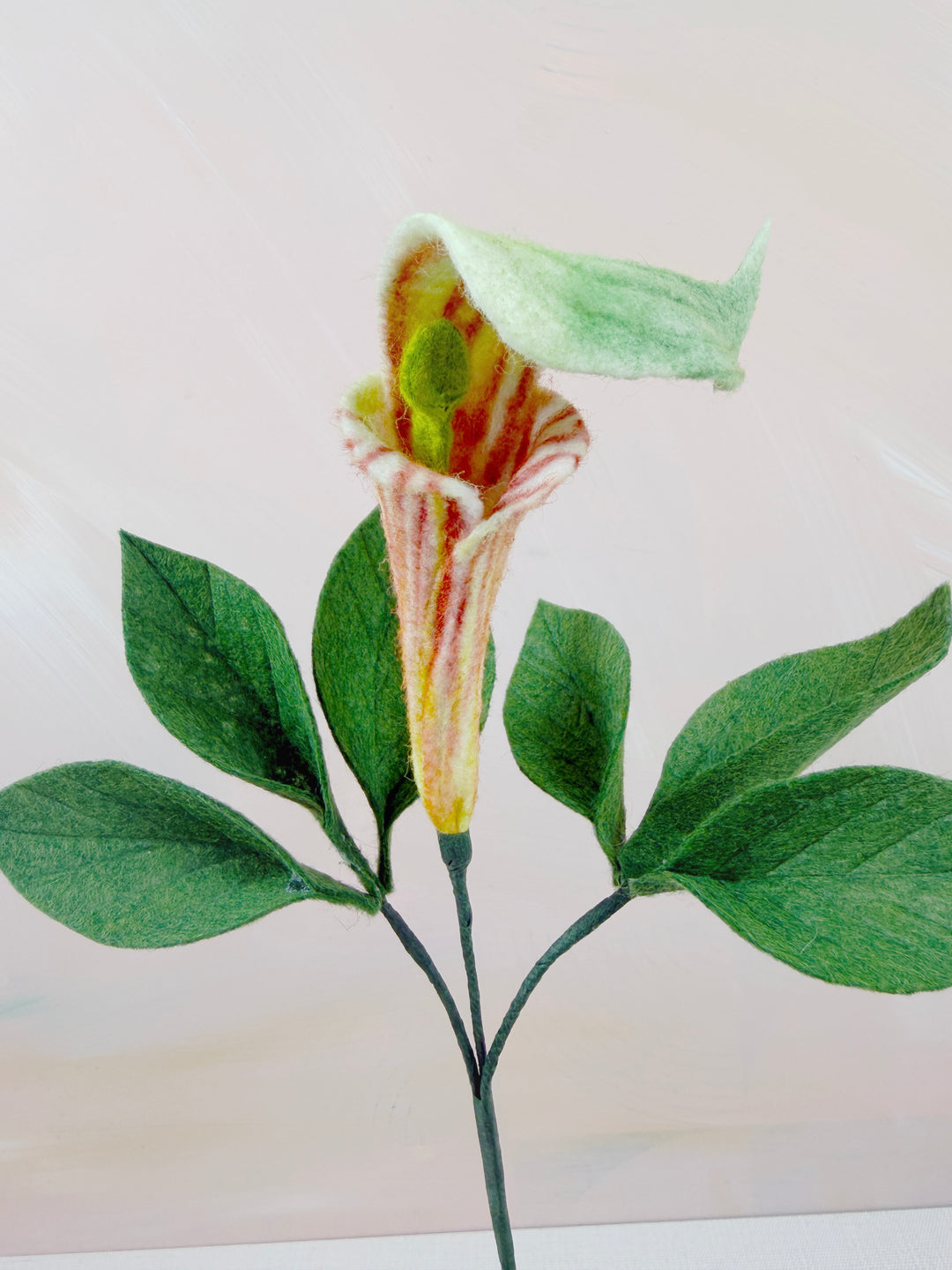 Felt Jack In The Pulpit