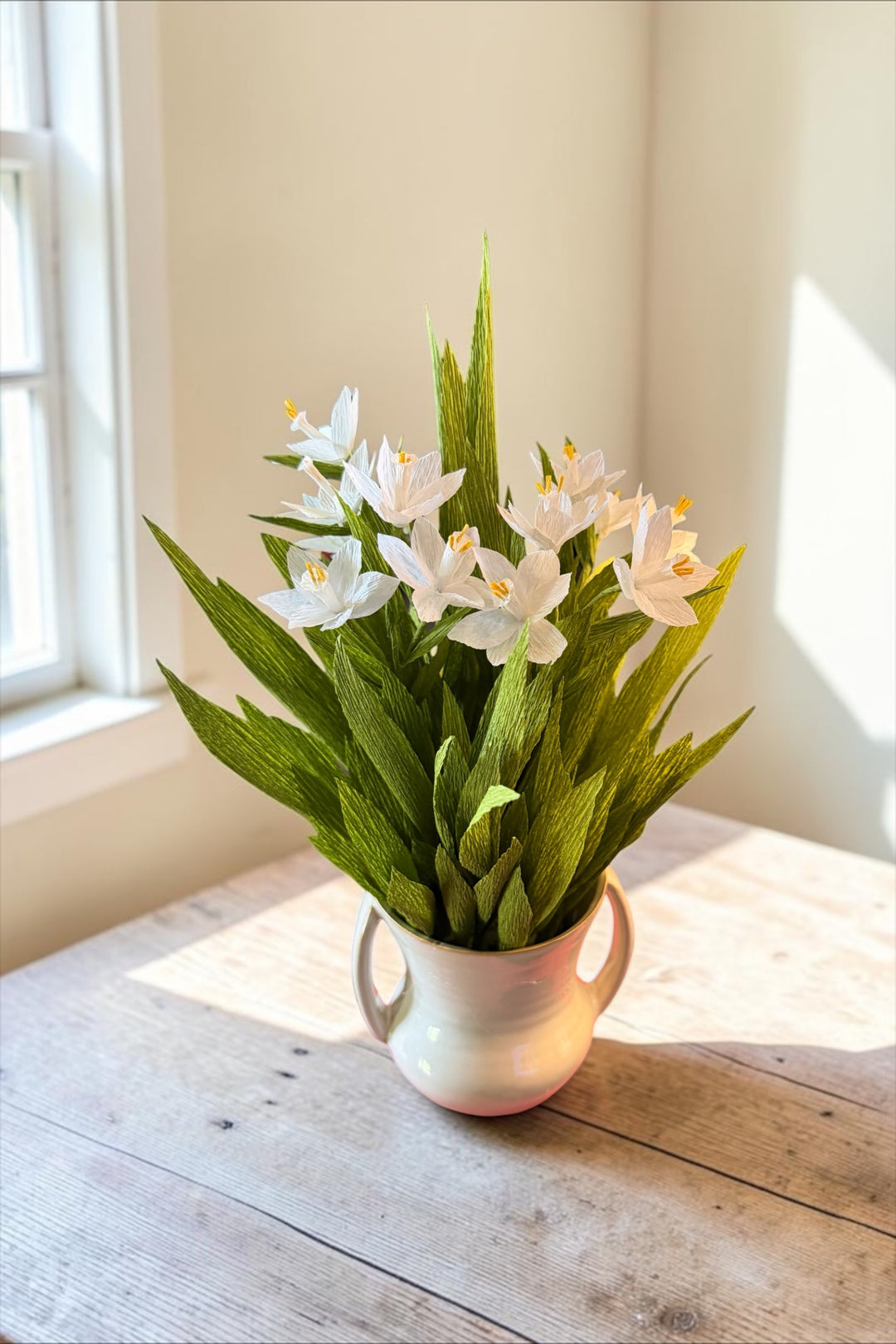 Potted Paperwhites