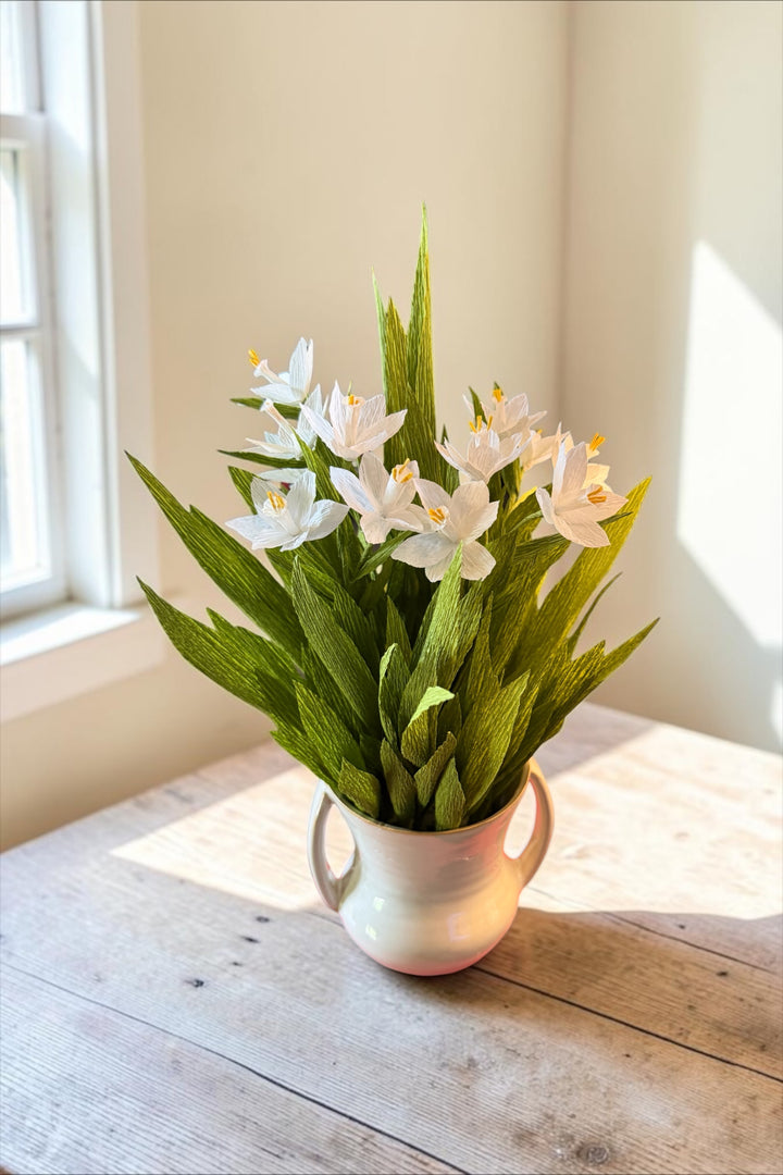 Potted Paperwhites in White Ceramic Pot