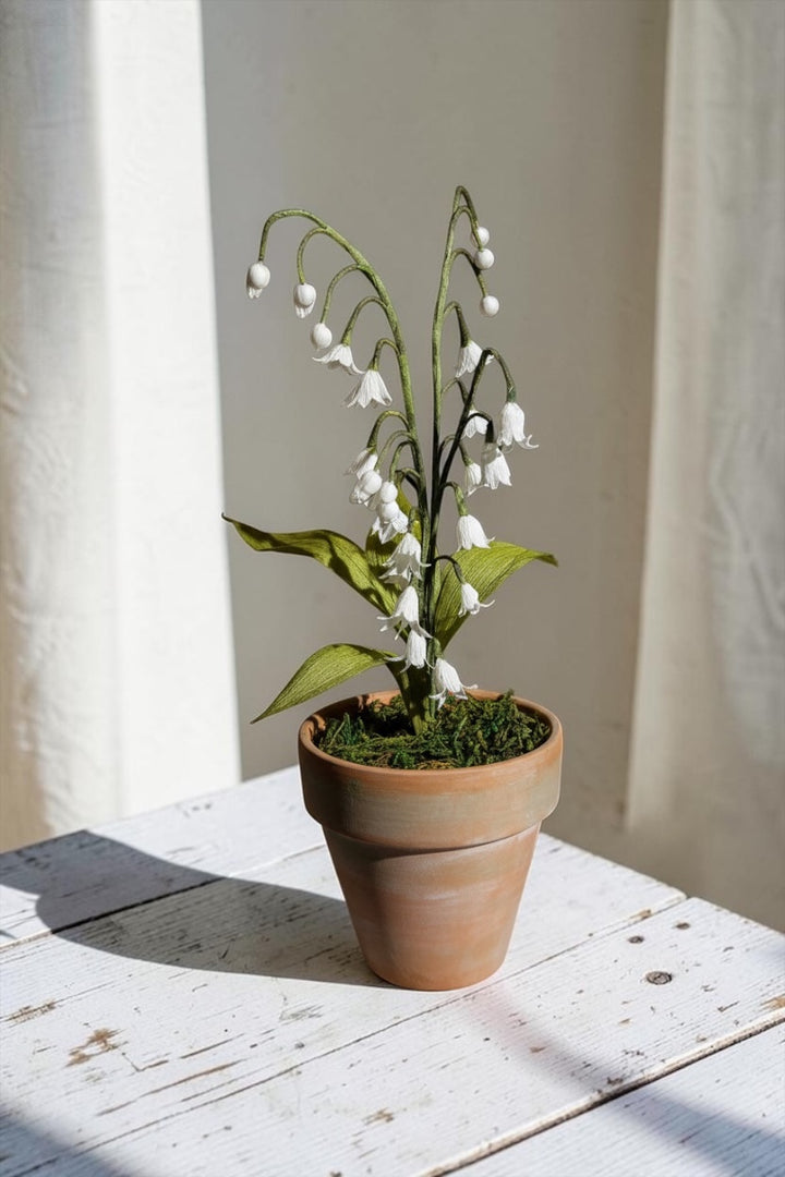 Lily of the Valley Pot