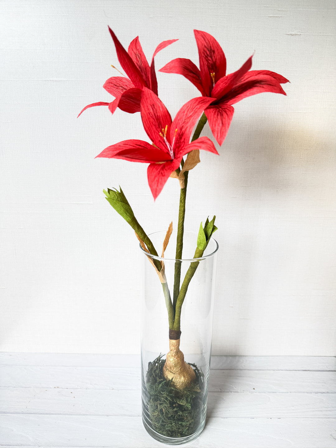 Amaryllis in Glass Vase with Moss