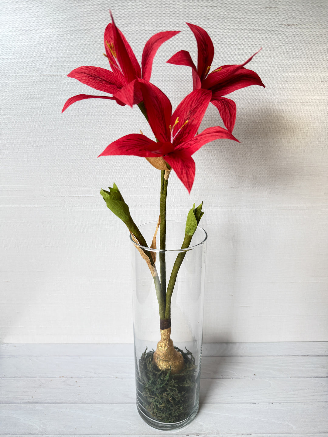 Amaryllis in Glass Vase with Moss