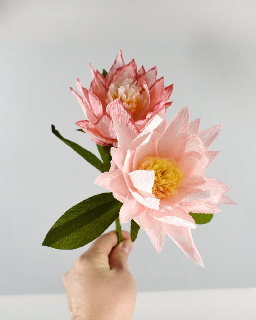 Protea Stem (Paper)