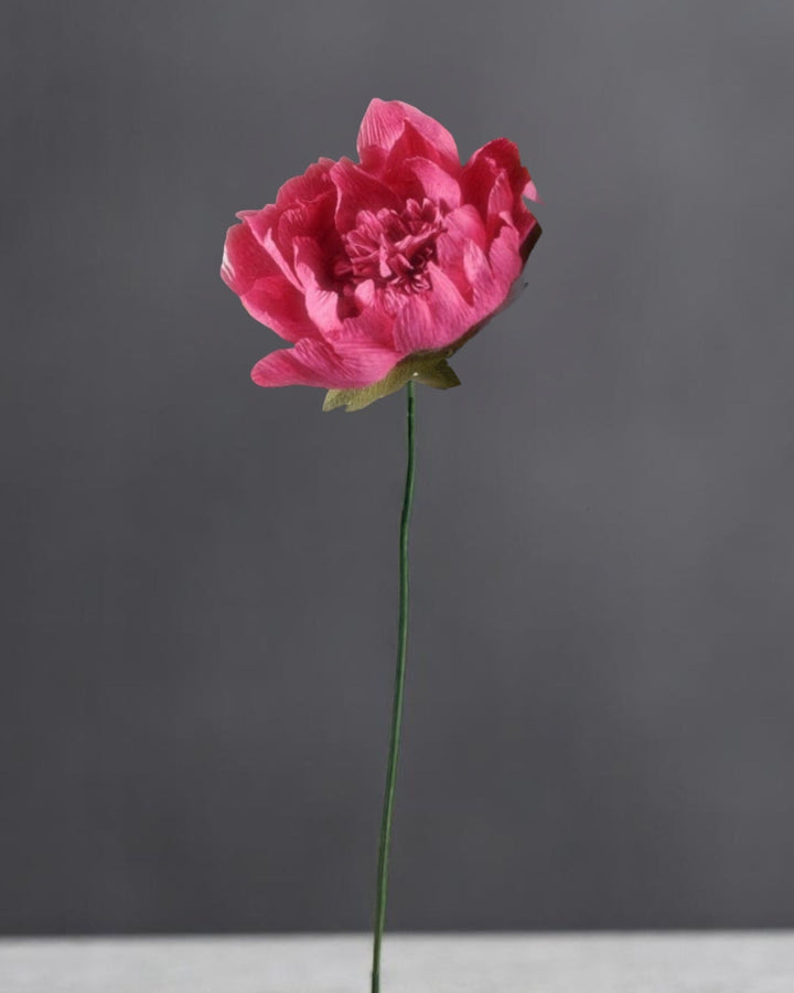 Duchess Peony Stem (Paper)