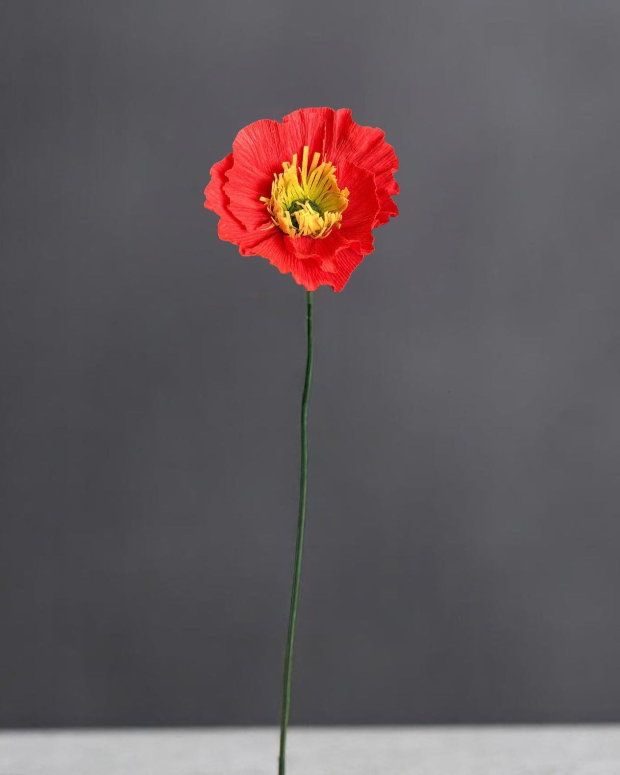 【hippiedippy】flower embo sk Stylophorum diphyllum - Wikipedia
