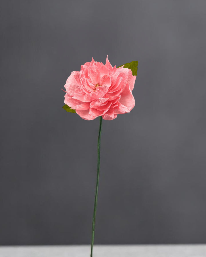 Garden Rose Stems (Paper)