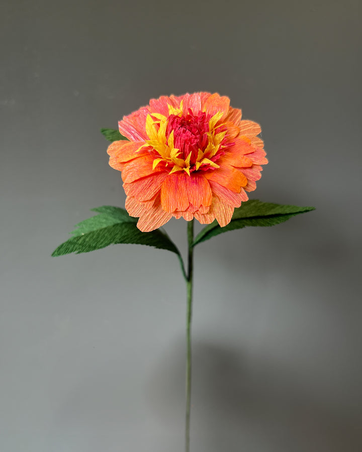 Zinnia Stem (Paper)