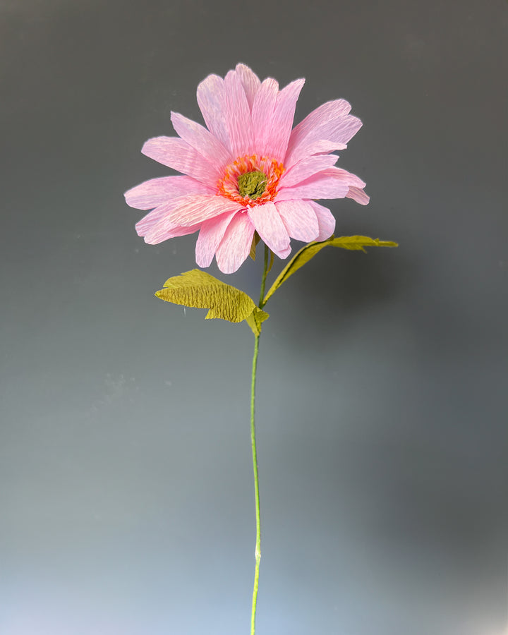 Gerber Daisy Stem (Paper)