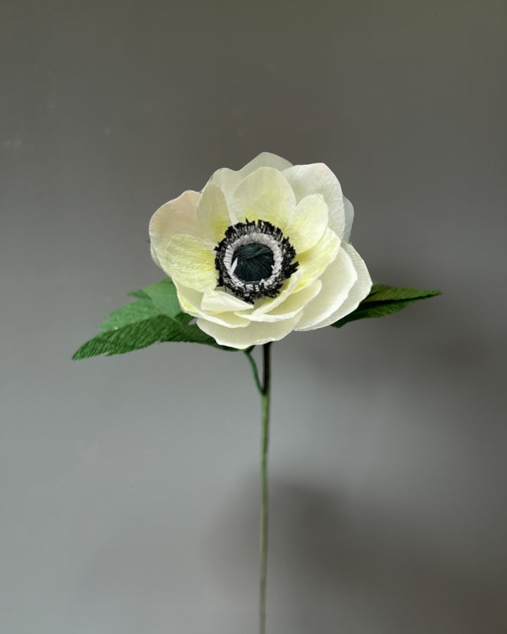 Anemone Stem (Paper)