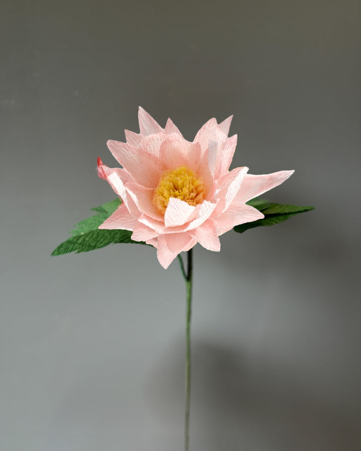 Protea Stem (Paper)
