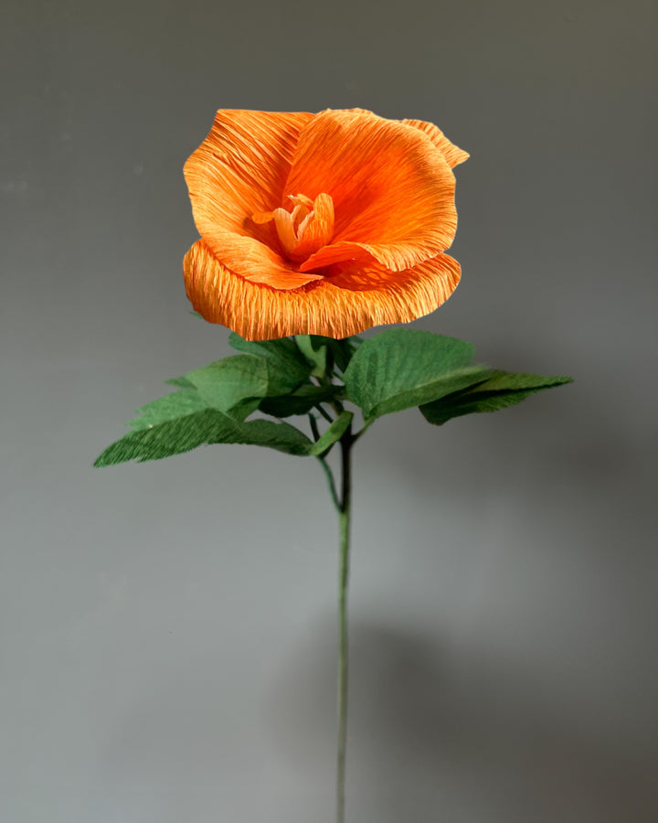 Paper California Poppy Stem (Paper)