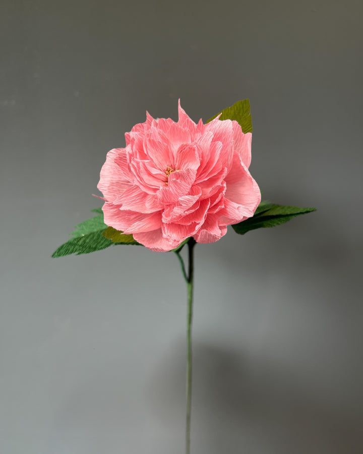 Garden Rose Stems (Paper)