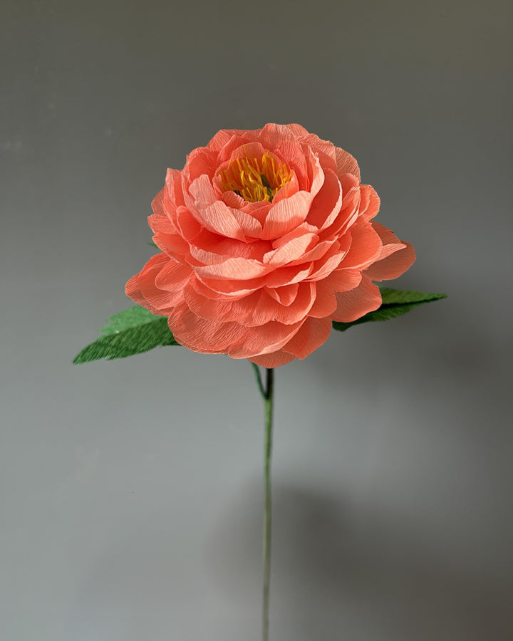 Charm Peony Stem (Paper)