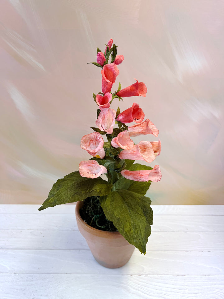 Handmade Pink Ombre Foxglove – 4” Potted Paper Plant