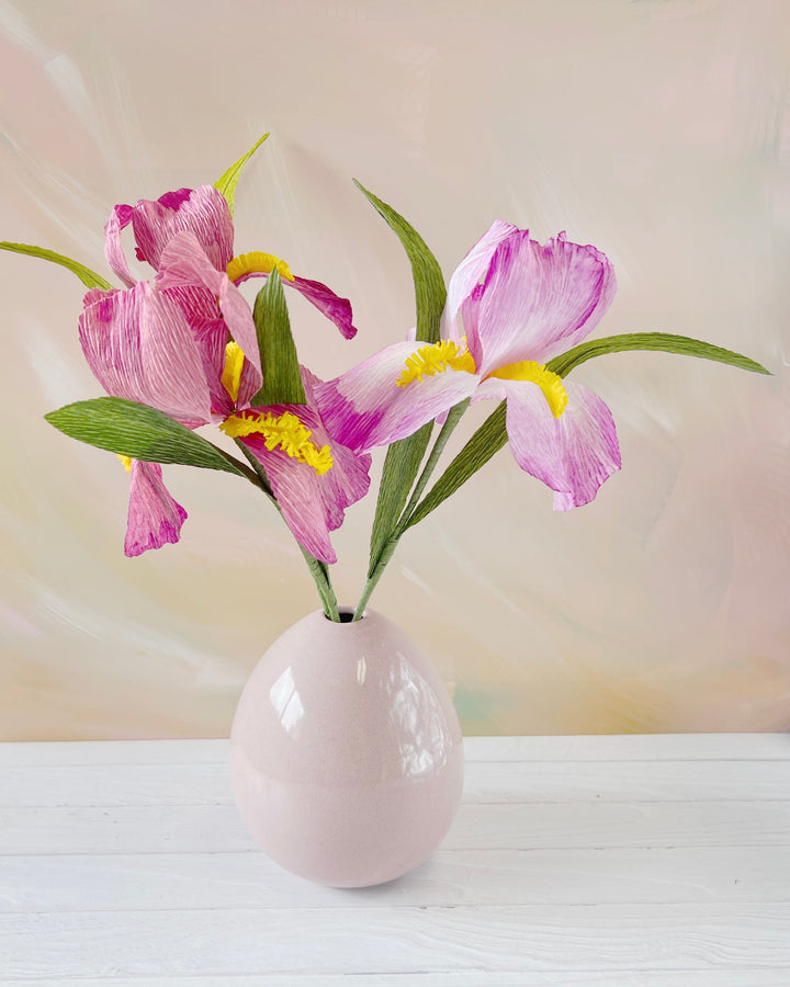 Blushing Iris | Handcrafted Paper Iris Stem